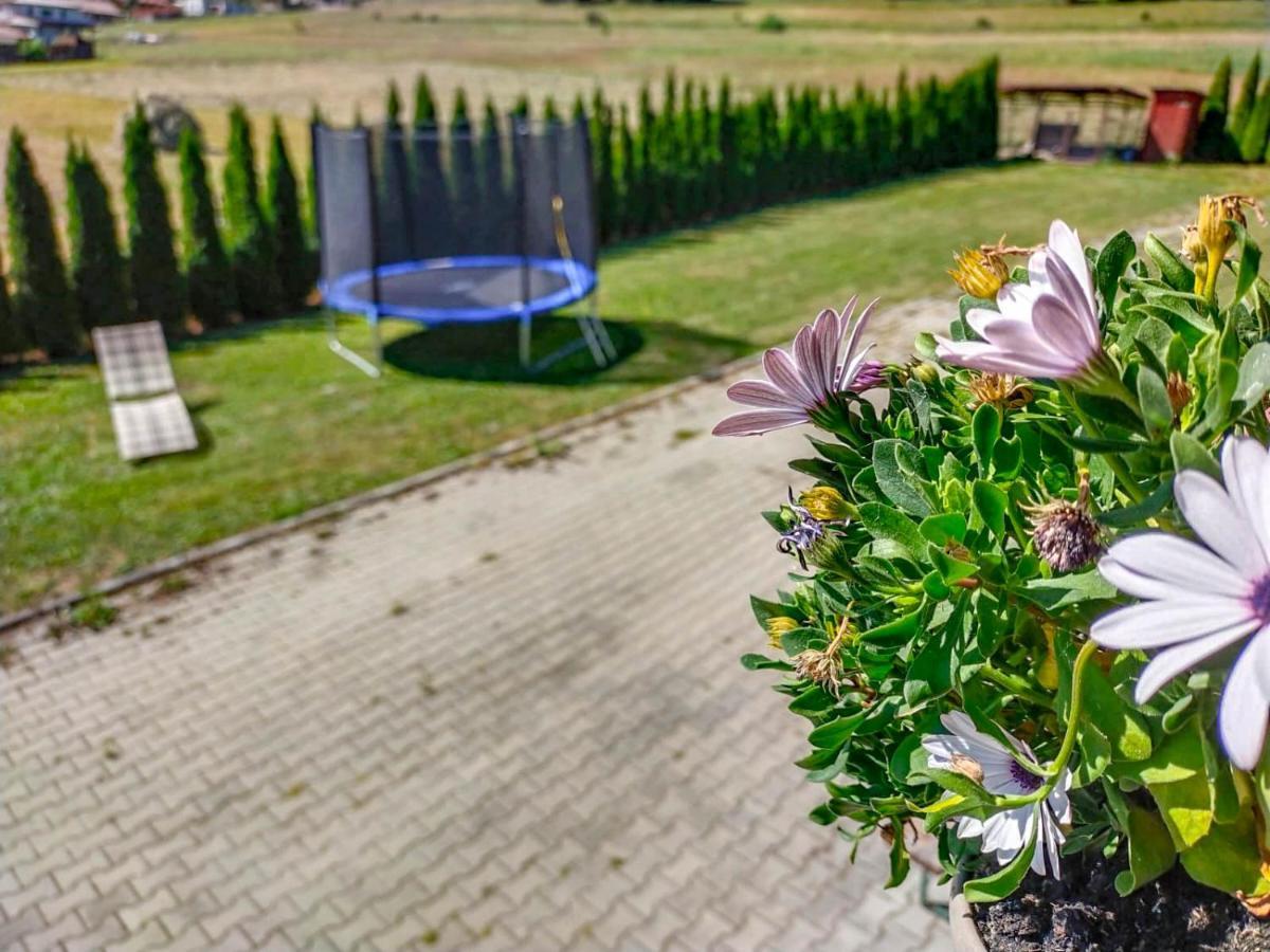 Natur Vendeghaz Miercurea Ciuc Dış mekan fotoğraf