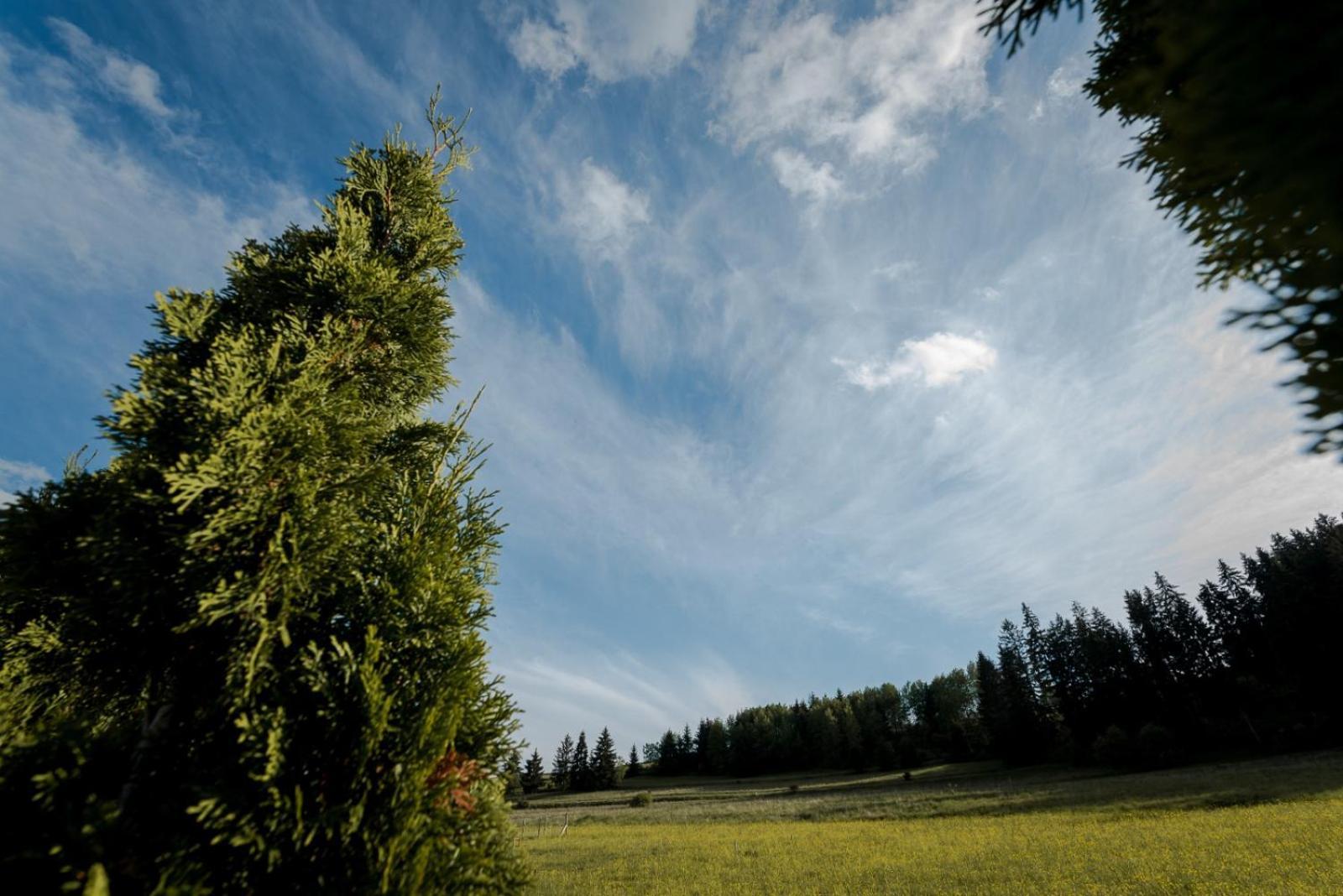 Natur Vendeghaz Miercurea Ciuc Dış mekan fotoğraf